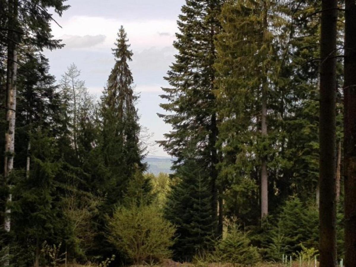 Ferienappartement Am Nadenberg Lindenberg im Allgäu Eksteriør billede